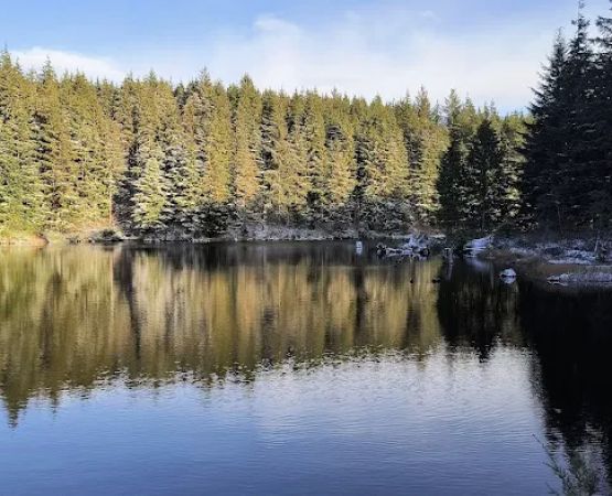 Snag Lake Campground