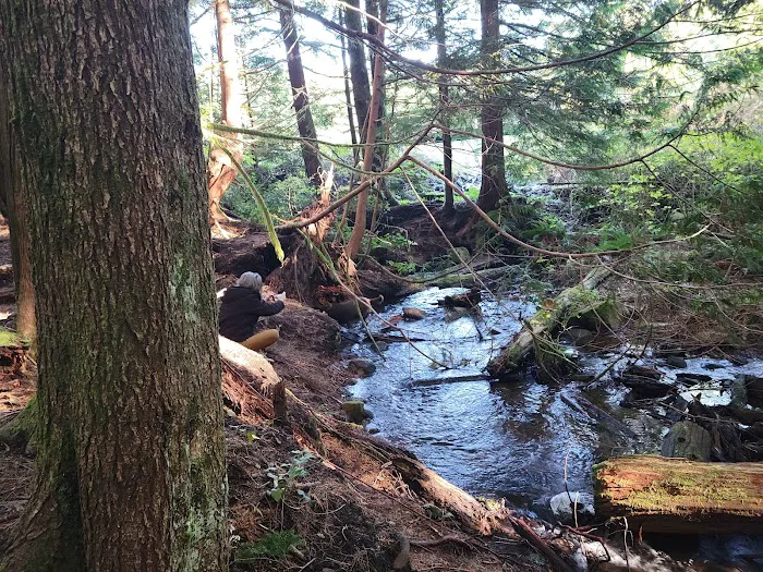 Snag Lake Campground 3