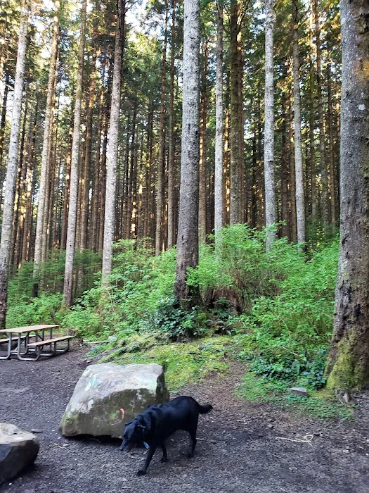 Snag Lake Campground 1