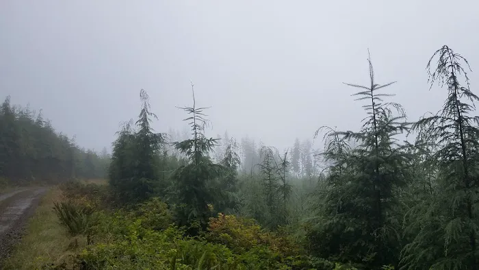 Western Lake Campground 0