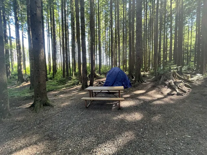 Western Lake Campground 2
