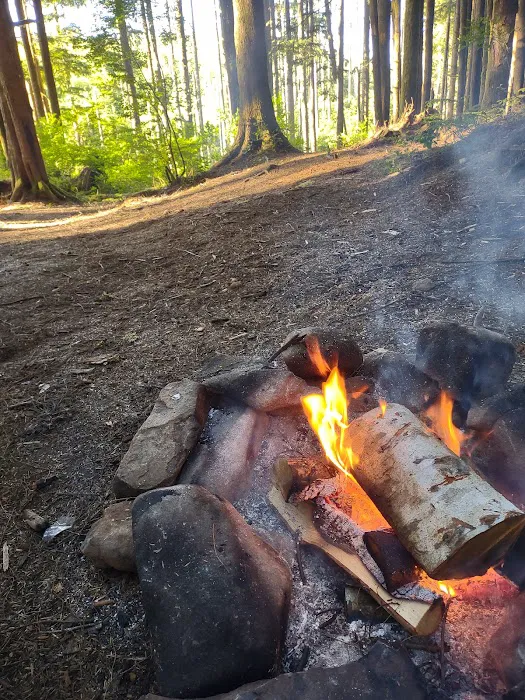 Western Lake Campground 5