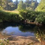 William's Park Campground