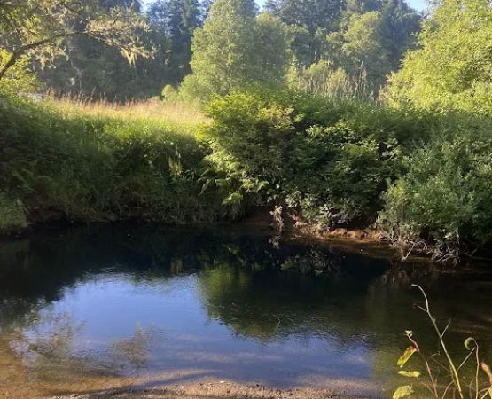 William's Park Campground