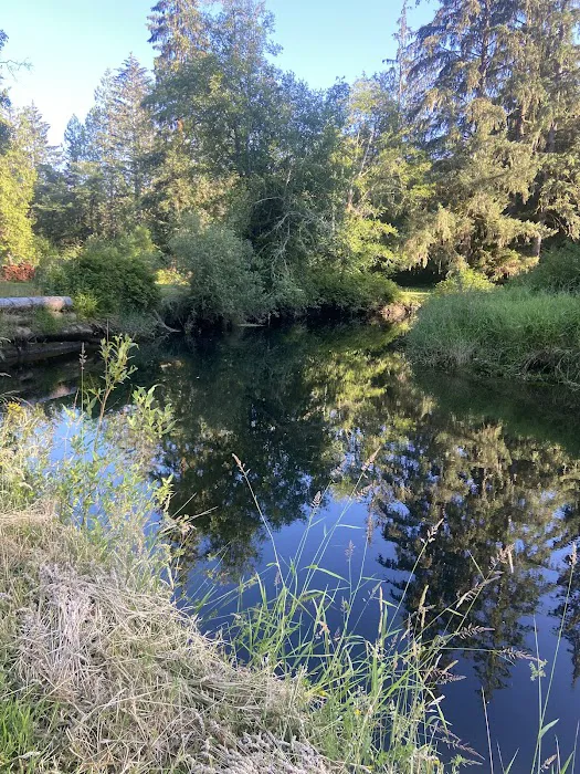 William's Park Campground 2