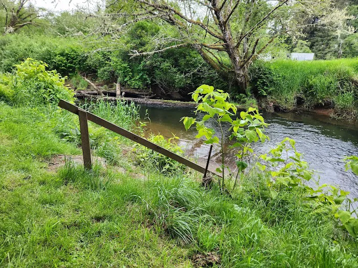 William's Park Campground 1