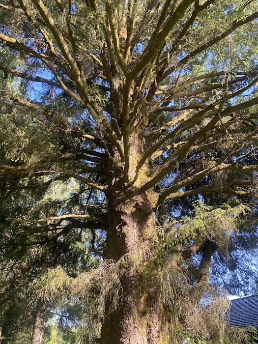 William's Park Campground 5