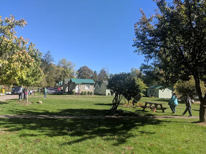Lewis River Campground 1