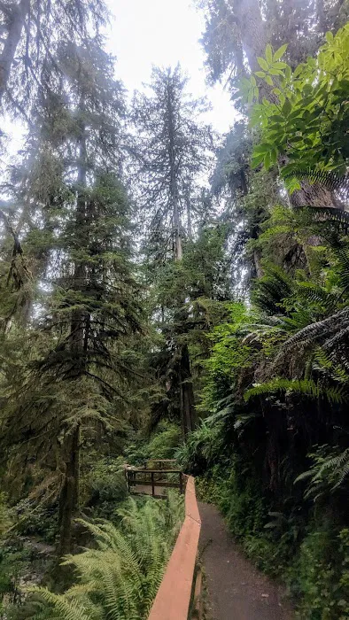 Lewis River Campground 3