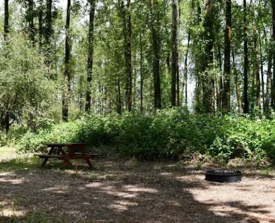 St. Helens - Sand Island Camp Ground