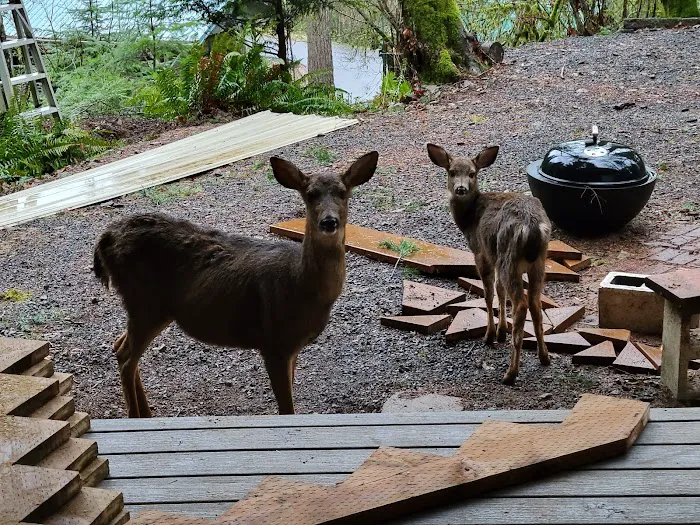 Lake Merwin Camper's Hideaway 5