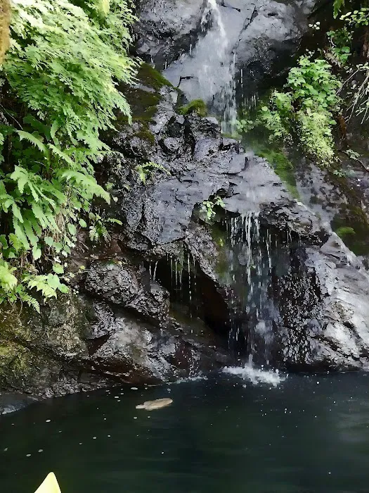 Cresap Bay Campground 5