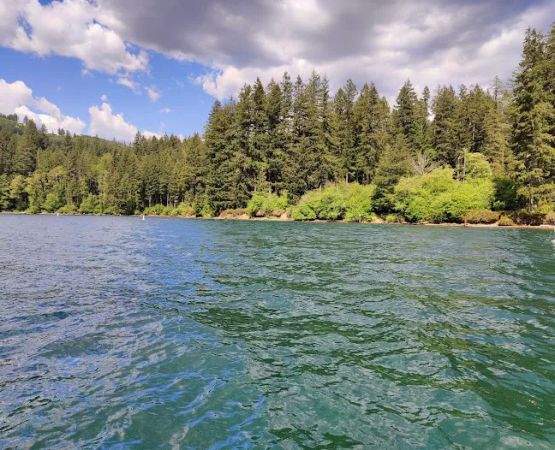 Cresap Bay Campground