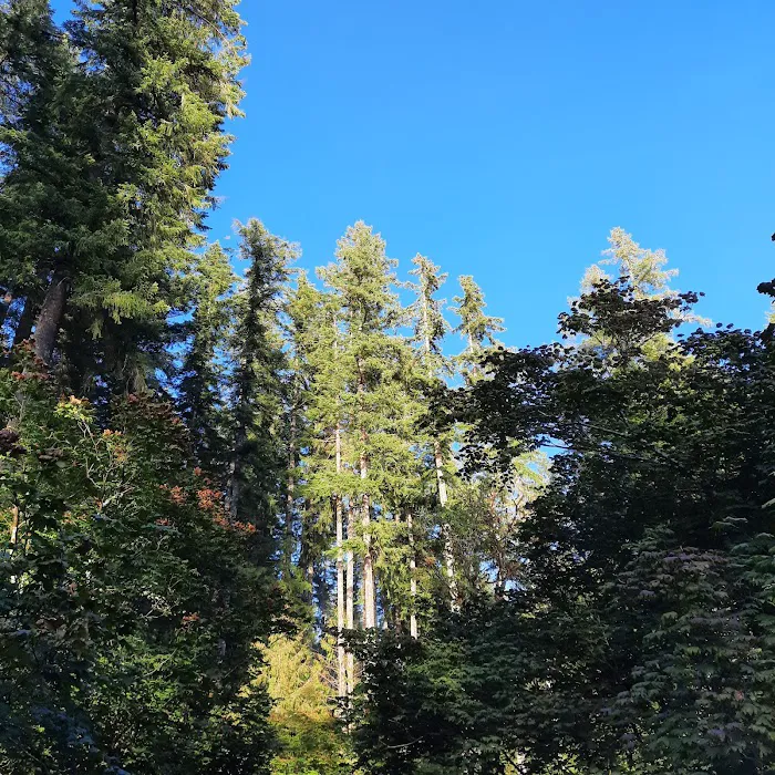 Cresap Bay Campground 6