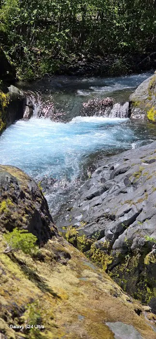 Cresap Bay Campground 8