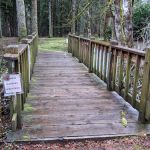 Sunset Falls Campground