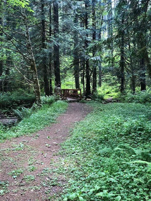 Camp Wilkerson Park 3