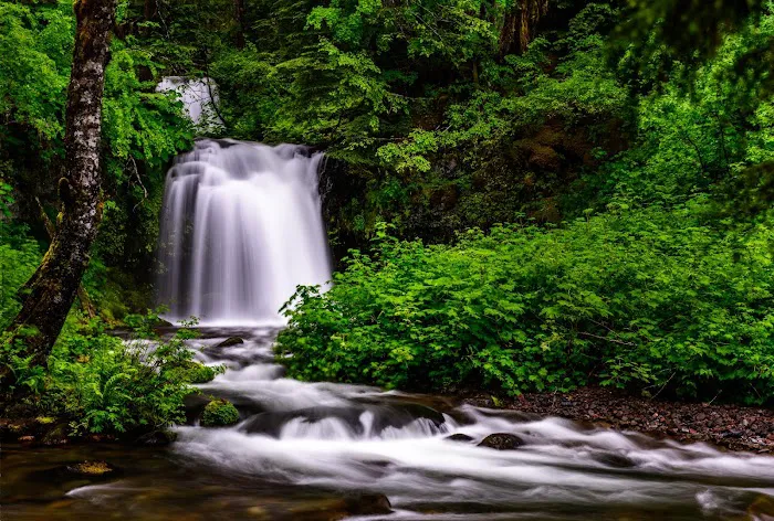 Twin Falls Campground 1