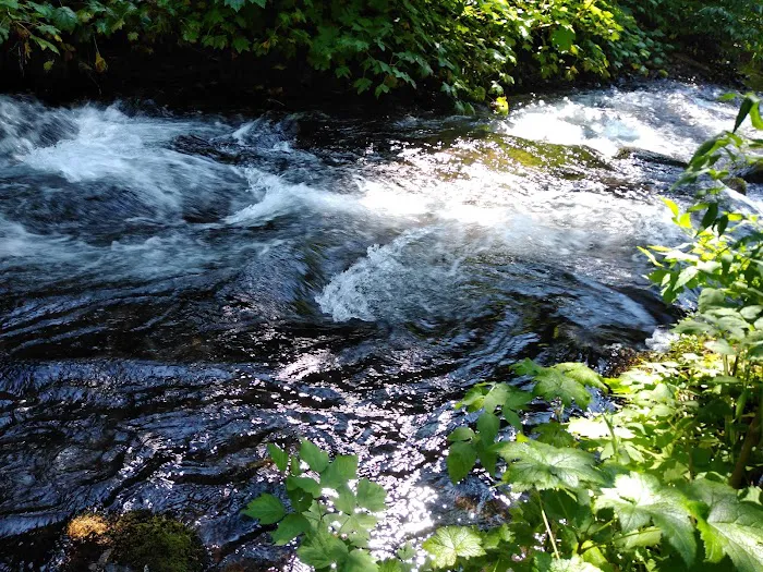 Twin Falls Campground 4