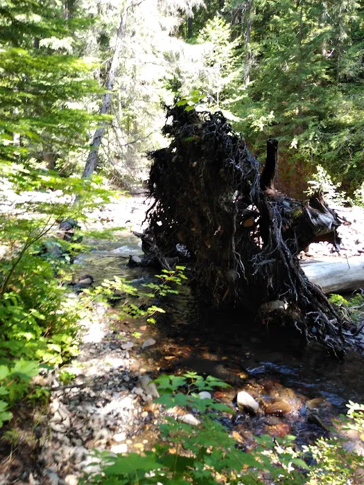 Twin Falls Campground 7