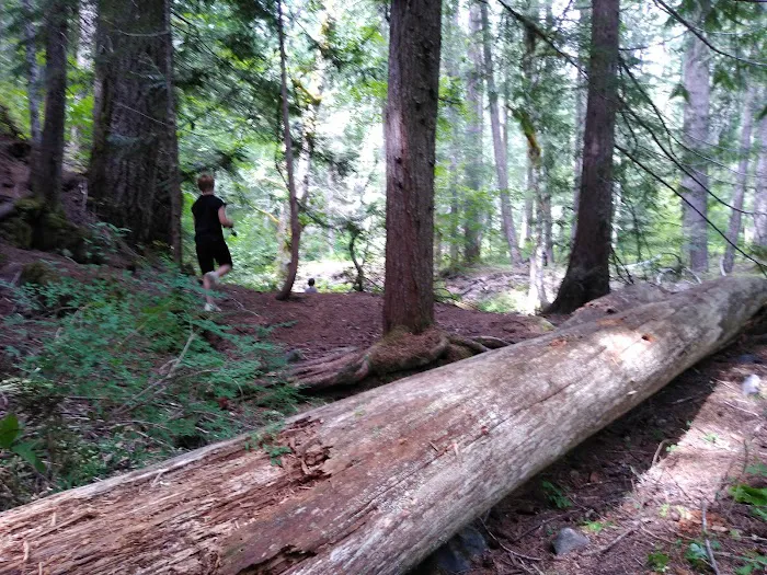 Twin Falls Campground 8