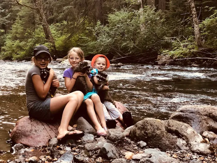 Twin Falls Campground 9