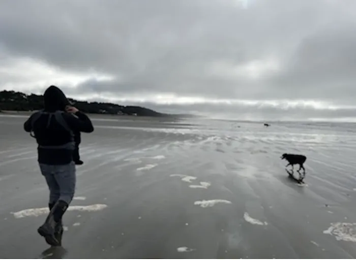 Winters by the Sea 4