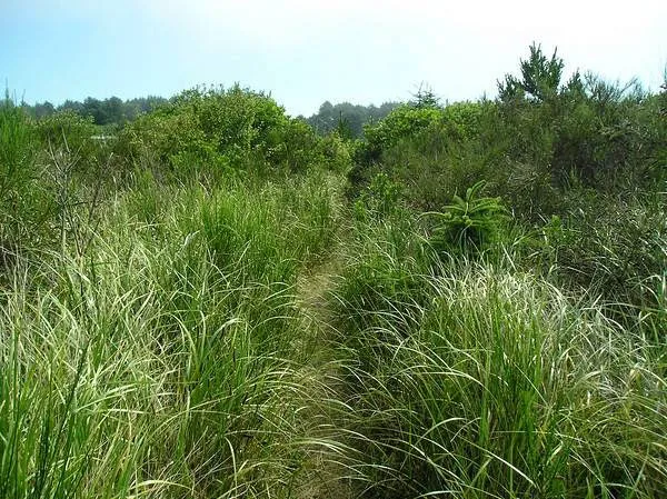 Thousand Trails Oceana 1