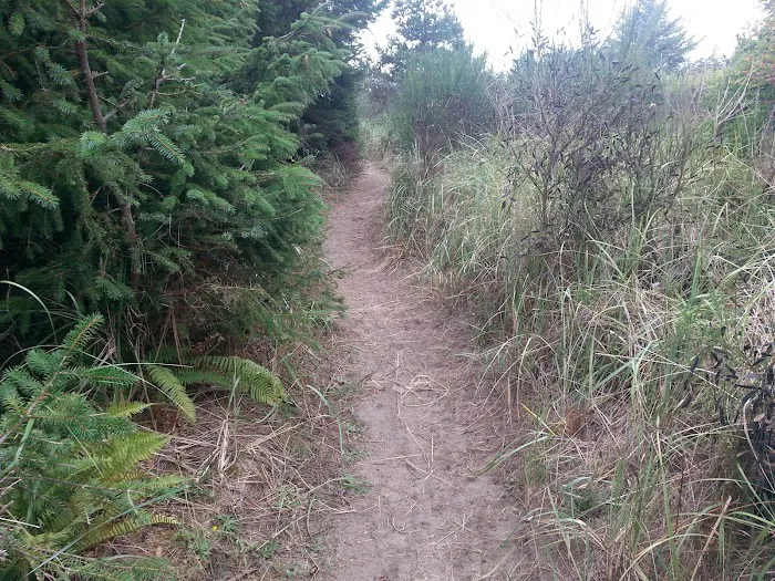 Thousand Trails Oceana 9