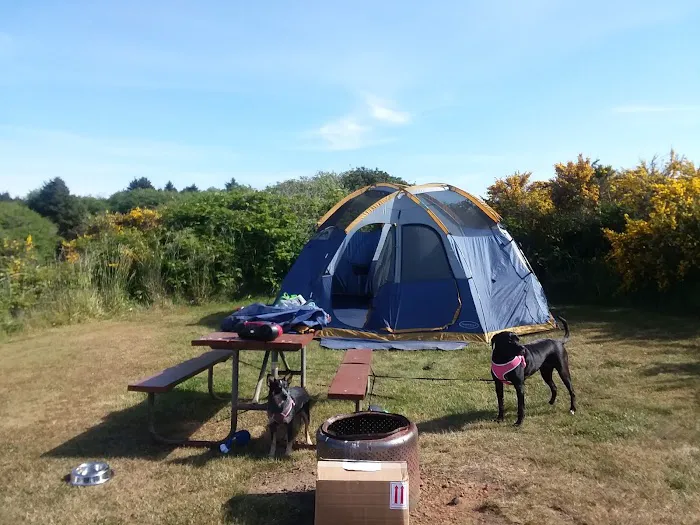 Screamin' Eagle Campground 1