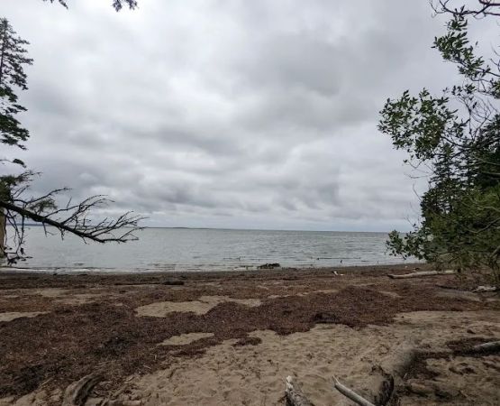 Bush Pioneer Park