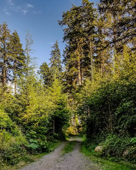 Bush Pioneer Park 2