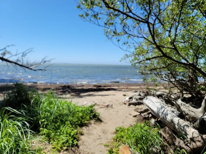 Bush Pioneer Park 3