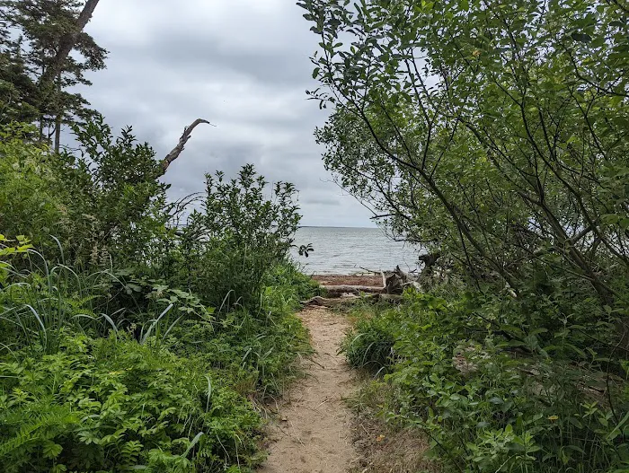 Bush Pioneer Park 4