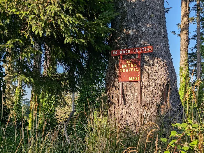 Chinook Campground 3