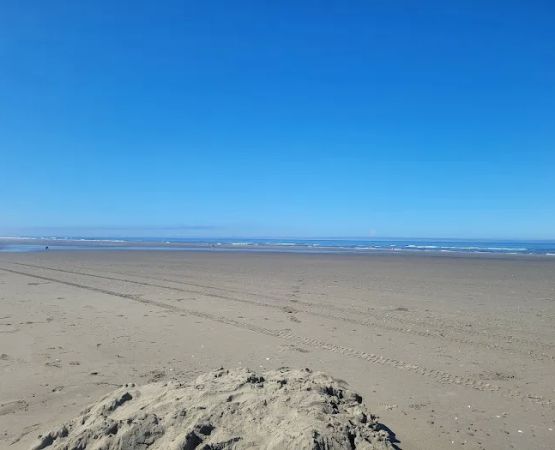 Twin Harbors State Park Campground