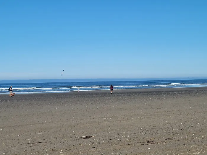 Twin Harbors State Park Campground 4