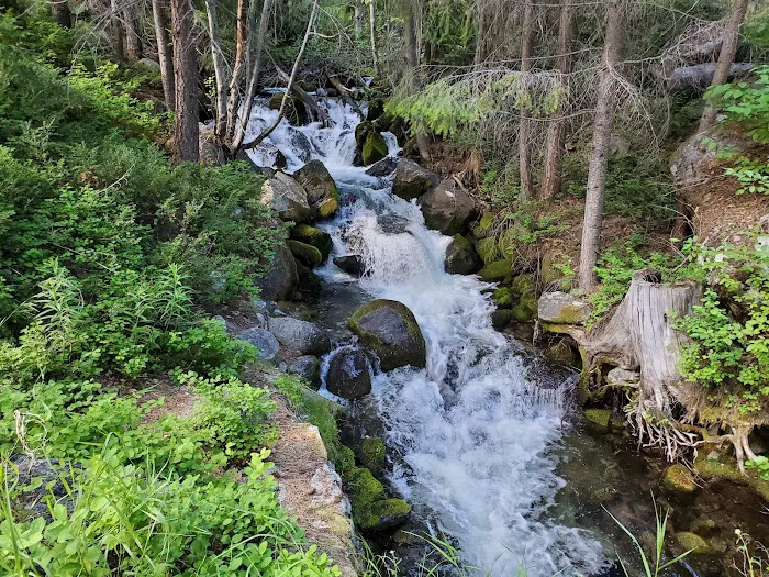 Lake Creek Campground 1