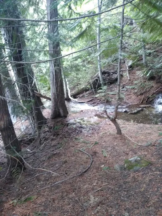 Lake Creek Campground 4