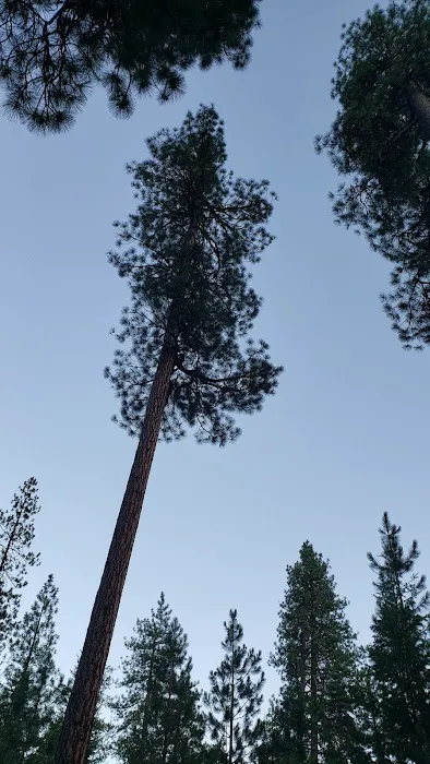 Lake Creek Campground 7
