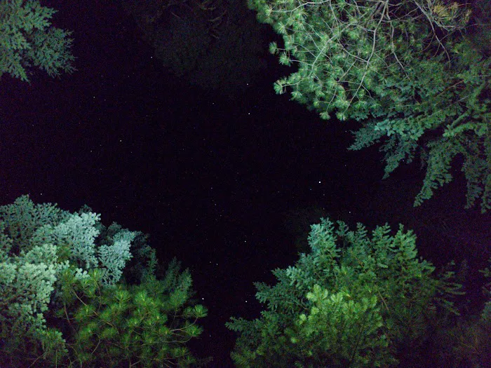 Fox Creek Campground 5