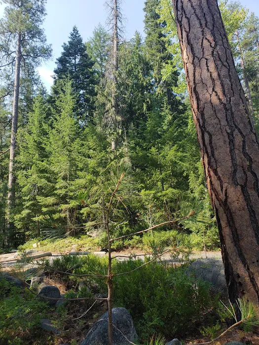 Fox Creek Campground 4