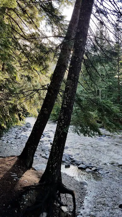 Fox Creek Campground 6