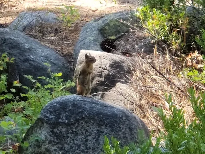 Fox Creek Campground 9