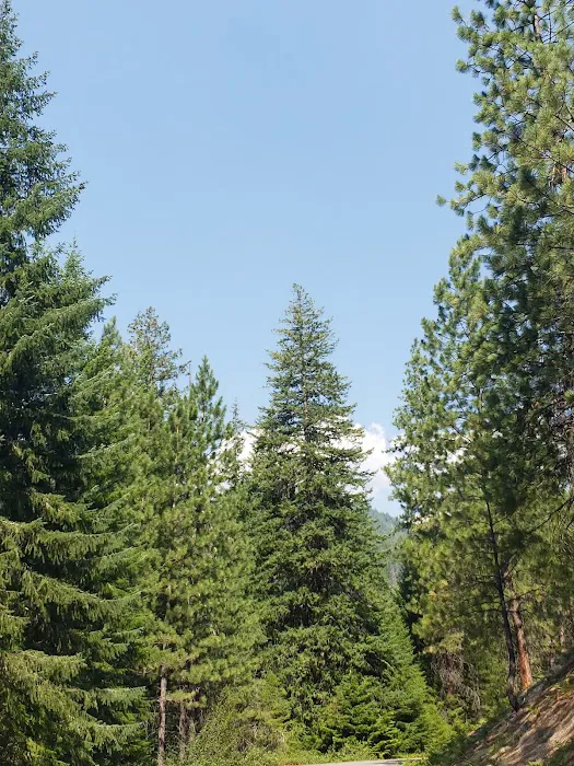 Fox Creek Campground 7