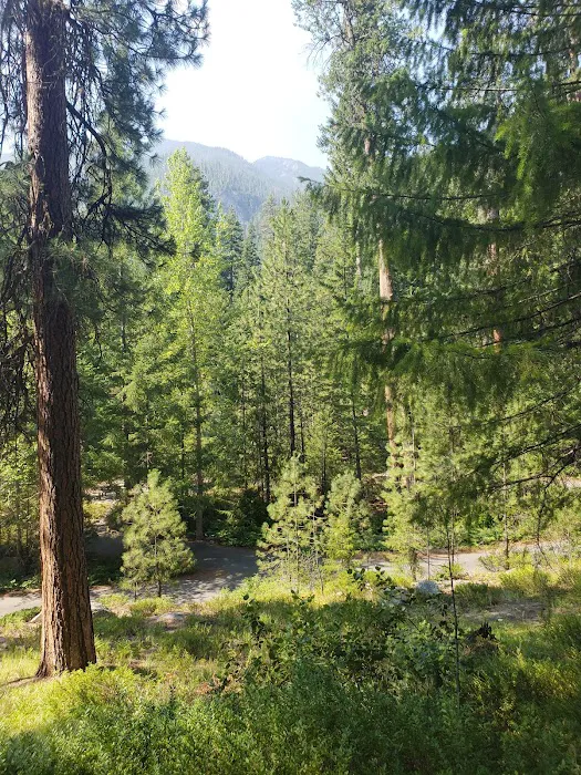 Fox Creek Campground 8