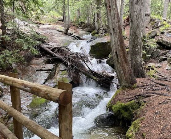 Silver Falls Campground