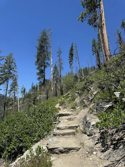 Silver Falls Campground 8