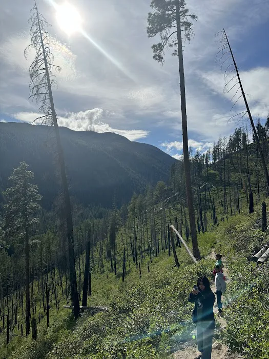 Silver Falls Campground 6