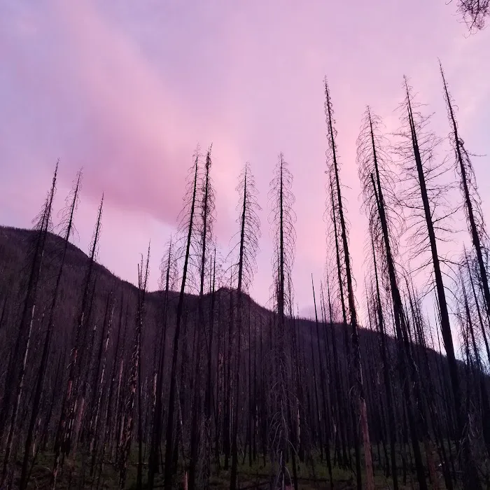 North Fork Campground 0